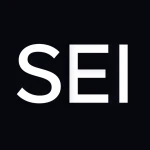 Sei Invts Co