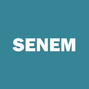 Stock SENEM logo