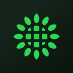 Shoals Technologies Group, Inc.