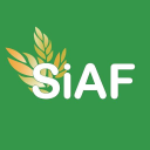 SIAF Stock Logo