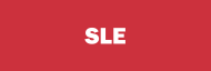 Stock SLE logo