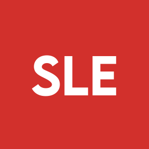 Stock SLE logo