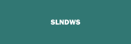 Stock SLNDWS logo