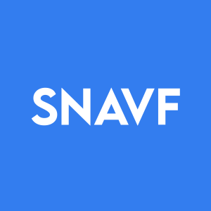 Stock SNAVF logo