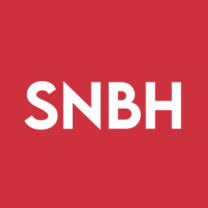 Stock SNBH logo