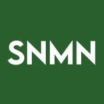 Snm Global