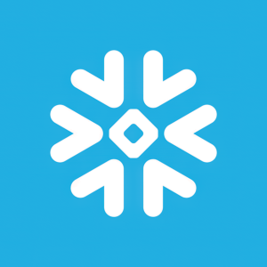Stock SNOW logo