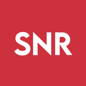 Stock SNR logo