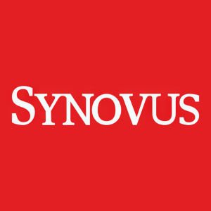 Stock SNV logo