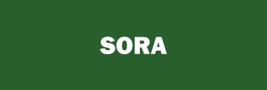 Stock SORA logo