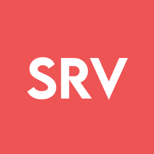 Stock SRV logo