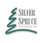 Silver Spruce