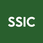 Silver Spike Investment Corp. logo