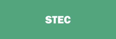 Stock STEC logo