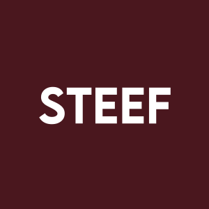 Stock STEEF logo