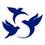 STLN Stock Logo