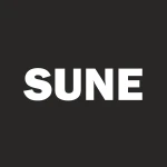 SUNation Energy Inc