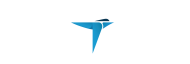 Stock TERN logo