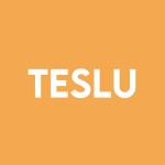 TESLU Stock Logo