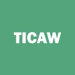 TIC SOLUTIONS logo