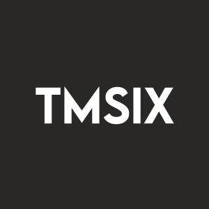 Stock TMSIX logo
