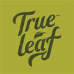 TRLFF Stock Logo