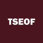 TSEOF Stock Logo