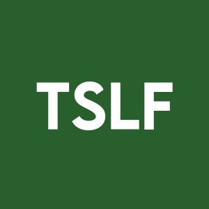 Stock TSLF logo