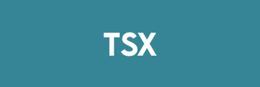 Stock TSX logo