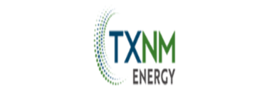 Stock TXNM logo