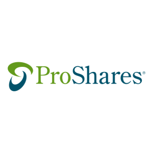 Stock USD logo