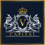 VCIG Stock Logo
