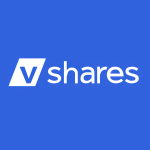 VDNI Stock Logo