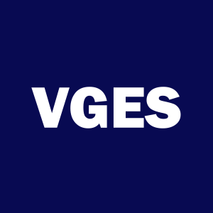 Stock VGES logo