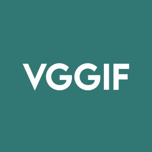 Stock VGGIF logo