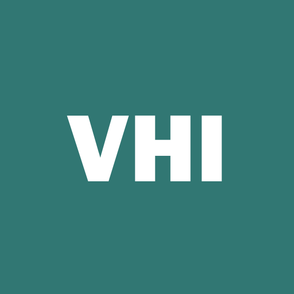 VALHI DECLARES QUARTERLY DIVIDEND | VHI Stock News