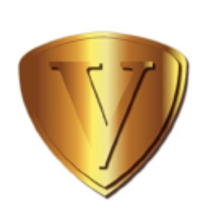 Stock VKIN logo