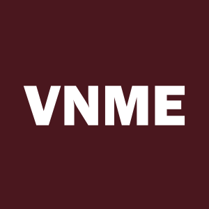 Stock VNME logo