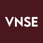 VNSE Stock Logo