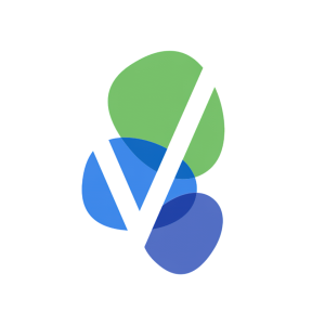 Stock VSTM logo