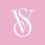 VSXY Stock Logo