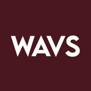 Stock WAVS logo