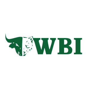 Stock WBIY logo