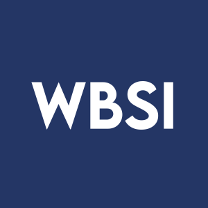 Stock WBSI logo