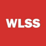 WELSIS CORP logo