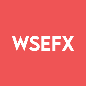 Stock WSEFX logo