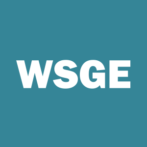 Stock WSGE logo