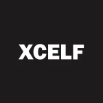 CONNECTING EXCELLENCE GROUP logo