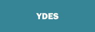 Stock YDES logo
