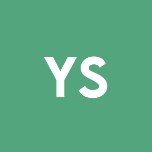 Stock YS logo